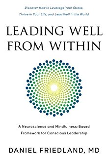 دانلود کیندل Leading Well From Within: A Neuroscience And Mindfulness-Based Framework   دانلود کتاب Daniel Friedland MD  0997853808  9780997853803 گیگاپیپر